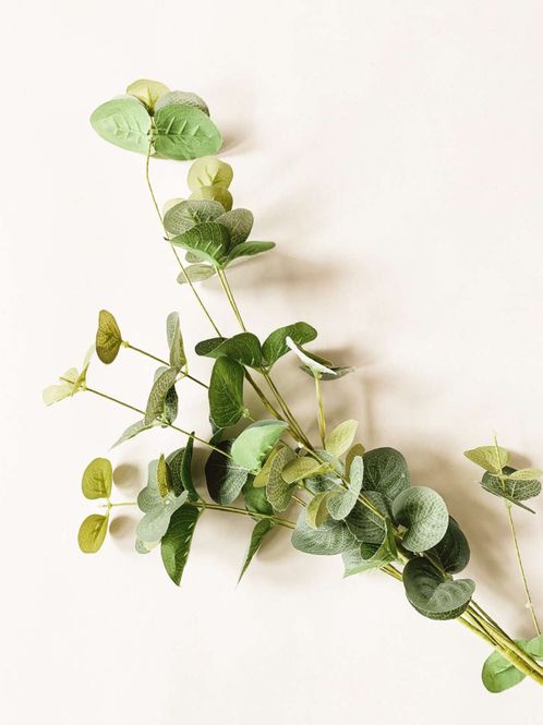 Hovedbilde Gren eucalyptus 84 cm