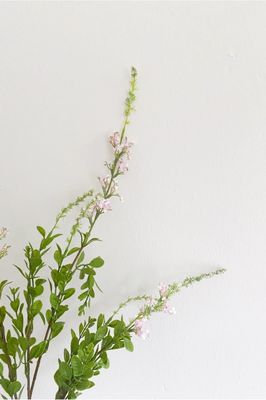 Artificial Plant Light Rose. Bloom.